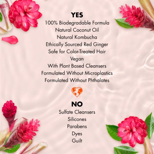 Love Beauty and Planet Black Tea Kombucha & Red Ginger Sulfate-Free Shampoo Perspective: top