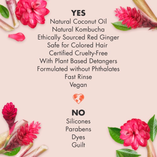 Love Beauty and Planet Silicone-Free Black Tea Kombucha & Red Ginger Nourishing Conditioner Perspective: top