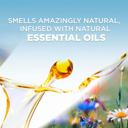 Air Wick Plug in Scented Oil Starter Kit Hawaii Air Freshener Essential Oils Perspective: top