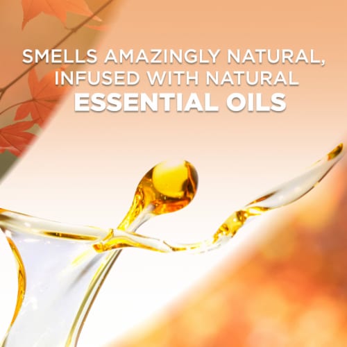 Air Wick® Plug in Scented Oil Refill Apple Cinnamon Medley Air Freshener Essential Oils Perspective: top