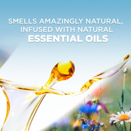 Air Wick Scented Oil Starter Kit, Plug In Air Freshener, Lavender and Chamomile, 1 warmer + 1 refill Perspective: top