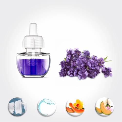 Air Wick Essential Oils Brown Sugar & Vanilla Fragrance Refills Perspective: top