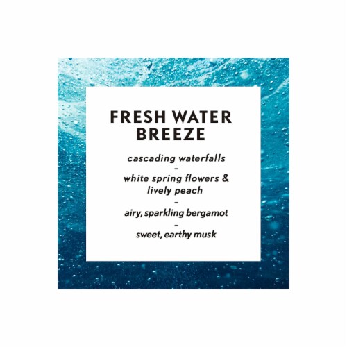 AIR WICK Essential Mist Starter Kit Free Refill 24382696 Perspective: top
