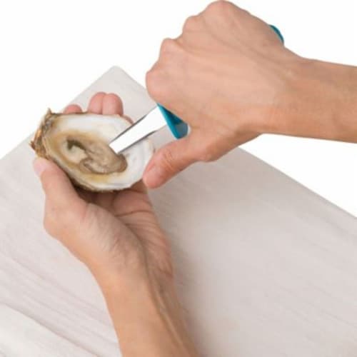 Trudeau Oyster Knife - Blue Perspective: top