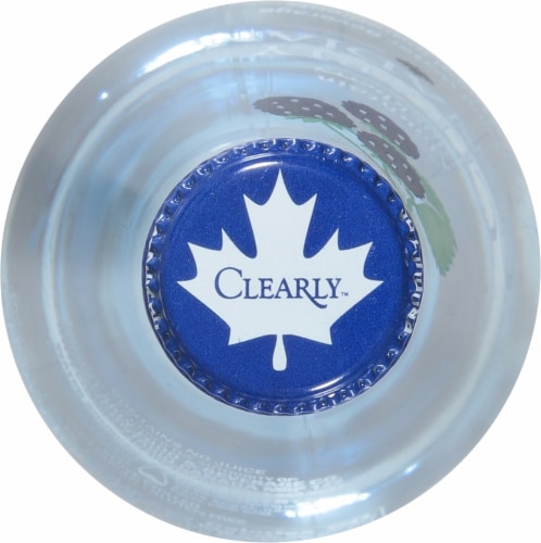 Clearly Canadian® Mountain Blackberry Flavored Sparkling Bottled Water Perspective: top