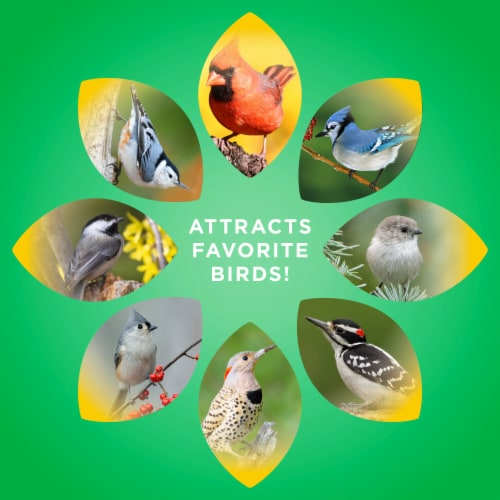Audubon Park® Nutty Treat Suet Wild Bird Food Perspective: top