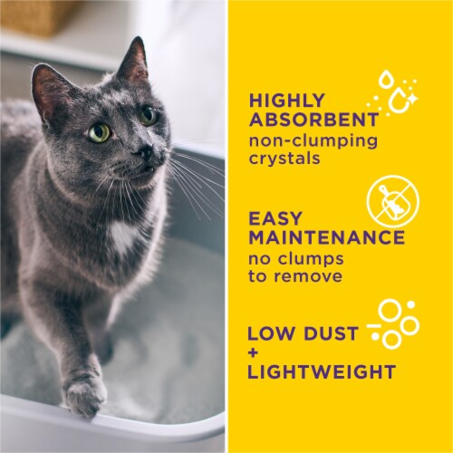 Purina Tidy Cats Tidy Care Alert Health Monitoring Litter with Silica Crystals Perspective: top