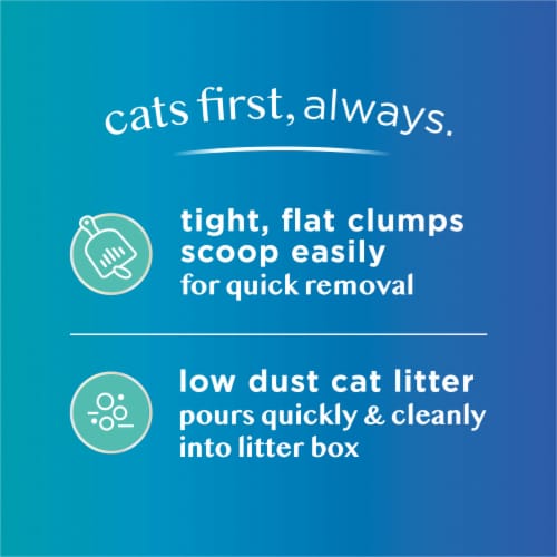 Tidy Care Comfort Scented Clumping Cat Litter Clumping Odor Control Low Dust Formula Perspective: top
