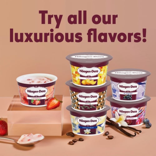 Haagen Dazs Coffee Cultured Creame Yogurt Perspective: top