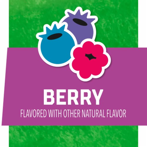 Go-GURT Protein Berry Kids Low Fat Yogurt Tubes Perspective: top