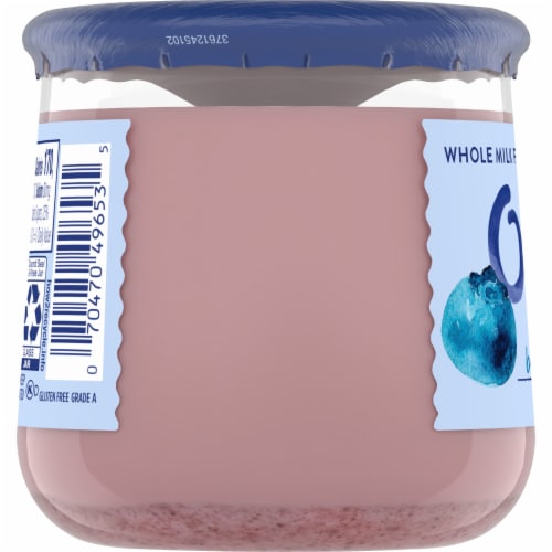 Oui by Yoplait Gluten Free French Style Blueberry Whole Milk Yogurt Glass Jar Perspective: top