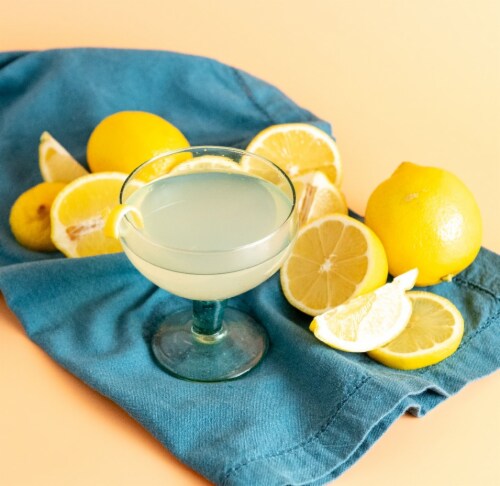 Master of Mixes Tom Collins Mixer Perspective: top