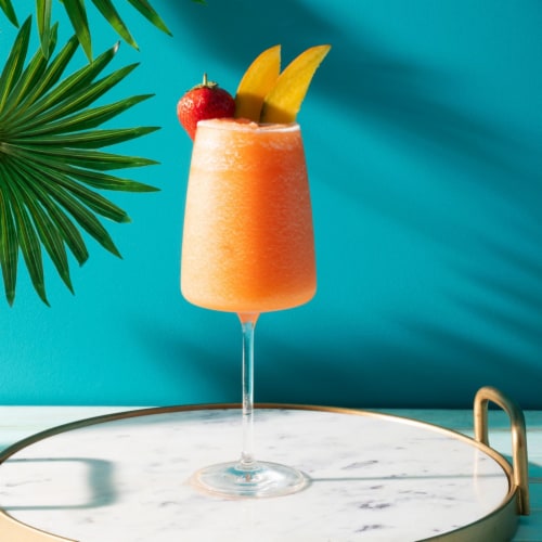 Master Of Mixes® Mango Daquiri & Margarita Mixer Perspective: top