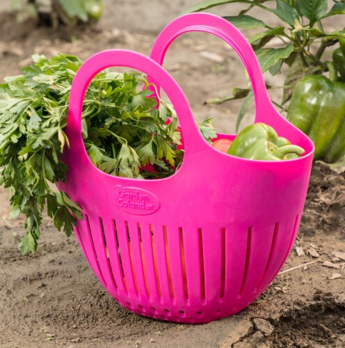 Mini Garden Colander (raspberry) Perspective: top