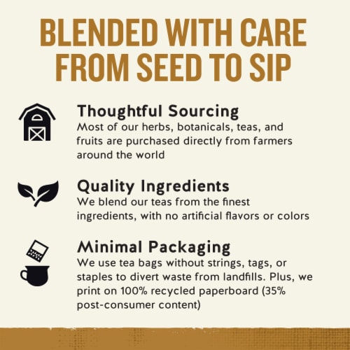 Celestial Seasonings® Caffeine Free Bengal Spice® Herbal Tea Bags Perspective: top