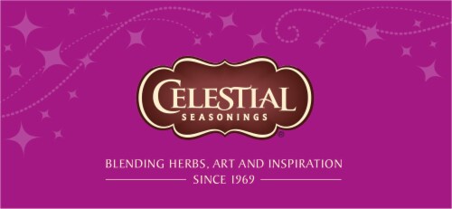 Celestial Seasonings® Sugar Plum Spice Tea Bags 20 Count Perspective: top