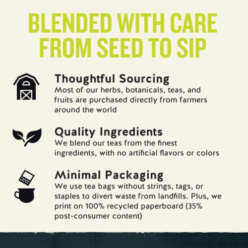 Celestial Seasonings Caffeinated Honey Lemon Ginseng Green Tea Perspective: top