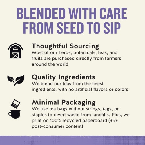 Celestial Seasonings Caffeine Free Sleepytime® Wellness Sinus Soother Tea Perspective: top