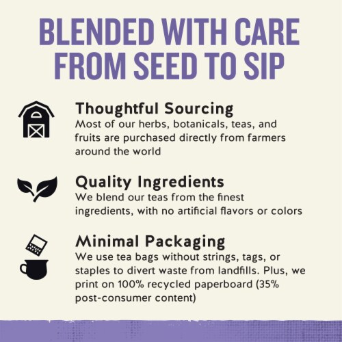 Celestial Seasonings Sleepytime Sinus Soother Herbal Tea Bags Perspective: top