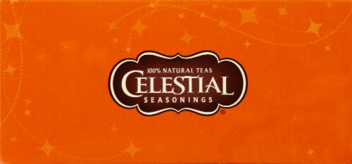 Celestial Seasonings® Sweet Harvest Pumpkin™ Black Tea Bags Perspective: top