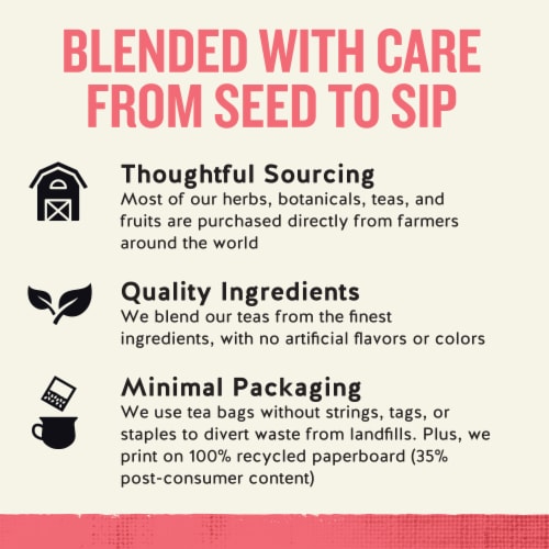 Celestial Seasonings Caffeine Free Sleepytime® Wellness Tea Plus Probiotics Perspective: top