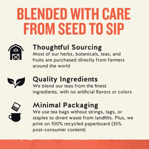Celestial Seasonings Caffeine Free Peach + Probiotics Herbal Tea Perspective: top