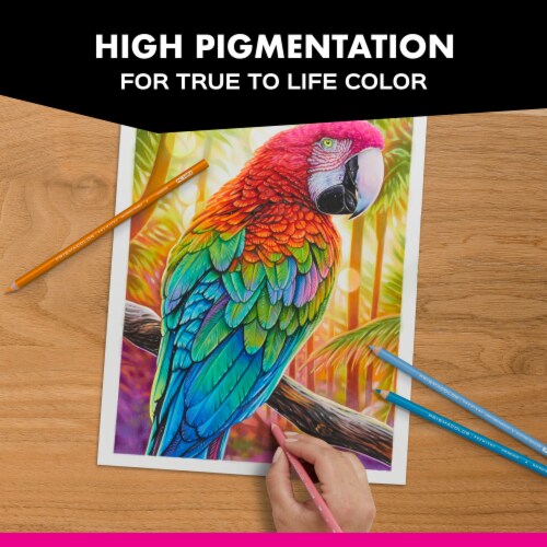Prismacolor® Premier® Colored Pencils, Soft Core, 12 Count Perspective: top