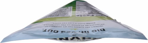 Harvest Snaps® Parmesan Roasted Garlic Green Pea Snack Crisps Perspective: top