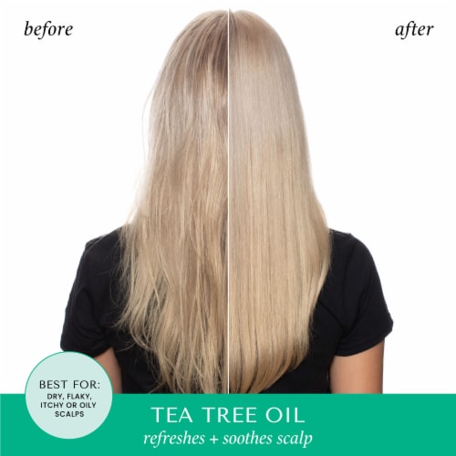 Hask® Tea Tree Oil & Rosemary Invigorating Shampoo Perspective: top