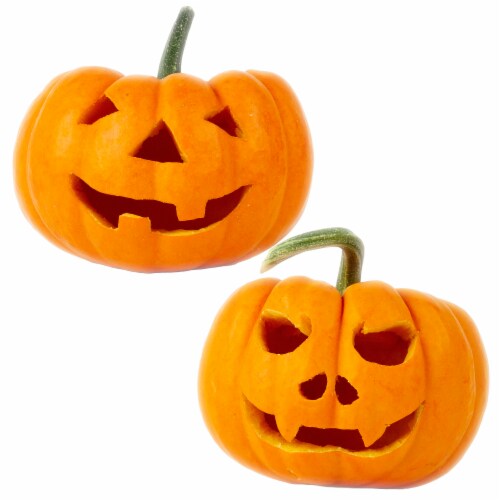 Pumpkin Masters Haunted Lab Pumpkin Science Kit Perspective: top