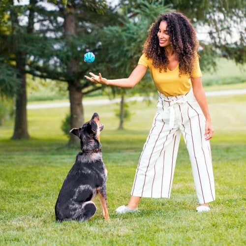 Rachael Ray Nutrish® Limited Ingredient Adult Dry Dog Food Lamb Meal & Brown Rice Recipe Perspective: top