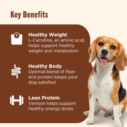 Rachael Ray Nutrish Adult Dry Dog Food Turkey, Brown Rice & Venison Recipe Perspective: top