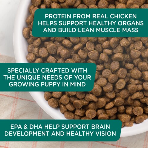 Rachael Ray™ Nutrish® Bright Puppy Dry Dog Food Real Chicken & Brown Rice Recipe Perspective: top