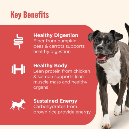 Nutrish Gentle Digestion Real Chicken, Pumpkin & Salmon Recipe Wet Dog Food, 13 oz Can (Rachael Ray) Perspective: top