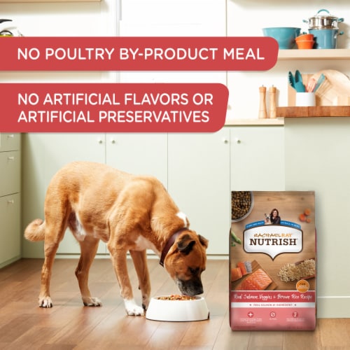 Rachael Ray Nutrish Salmon Dry Dog Food Perspective: top