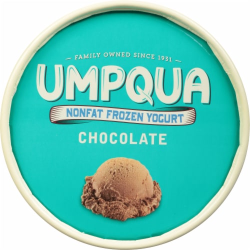Umpqua Chocolate Nonfat Frozen Yogurt Perspective: top