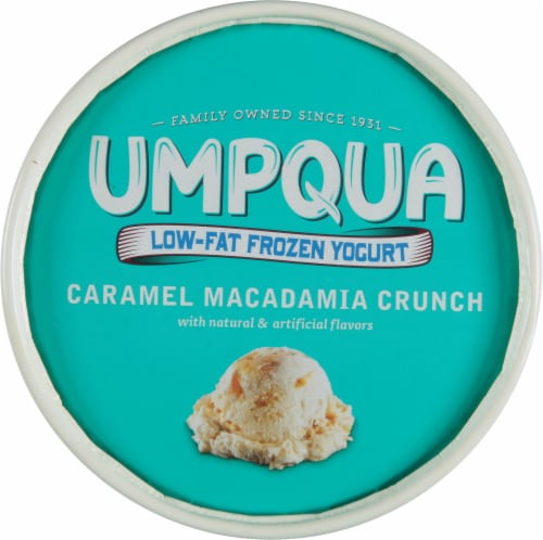 Umpqua Fat Free Caramel Macadamia Nut Frozen Yogurt Tub Perspective: top