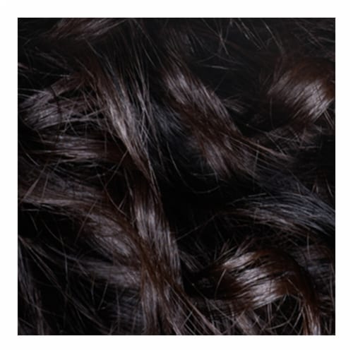 L'Oreal Paris Le Color Gloss Deep Black Toning Gloss Perspective: top