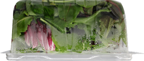 Fresh Express Spring Mix Perspective: top
