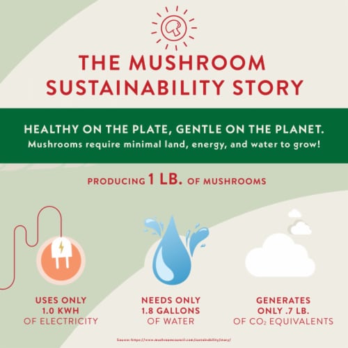Pennsylvania Dutchman® Mushroom Pieces & Stems Perspective: top