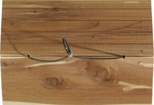 Kaytee Cedar Songbird Feeder Perspective: top