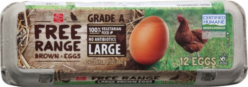 Harris Teeter™ Free Range Large Brown Eggs Perspective: top