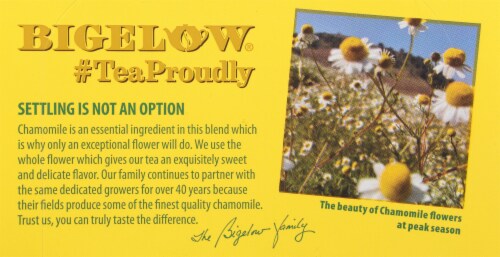 Bigelow Chamomile Mint Herbal Tea Bags Perspective: top