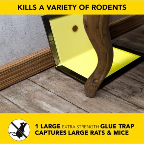 Harris Glue Rat & Mouse Trap BLKRAT-1 Perspective: top
