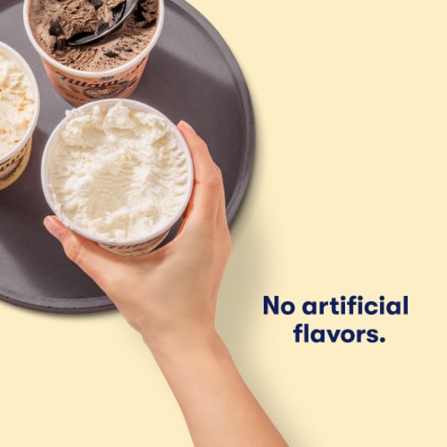 Tillamook Vanilla Bean Ice Cream Perspective: top
