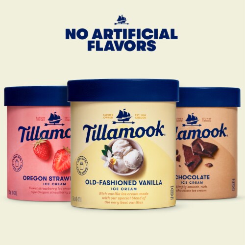 Tillamook Chocolate Ice Cream Tub Perspective: top