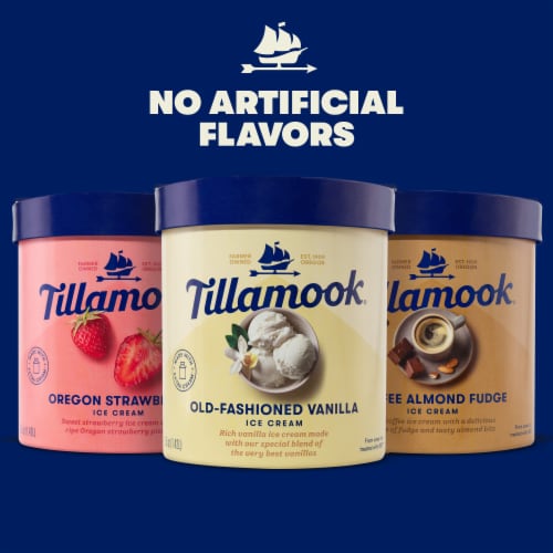 Tillamook Coffee Almond Fudge Ice Cream Tub Perspective: top