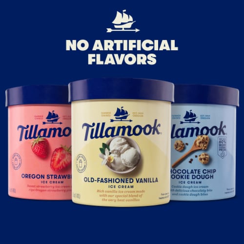 Tillamook Chocolate Chip Cookie Dough Ice Cream Tub Perspective: top