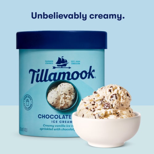 Tillamook Chocolate Chip Ice Cream Tub Perspective: top