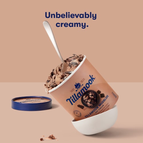 Tillamook Mudslide Ice Cream Perspective: top